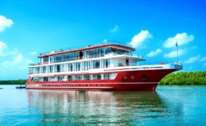 622362840 122112064281191313 605428159415937661 n