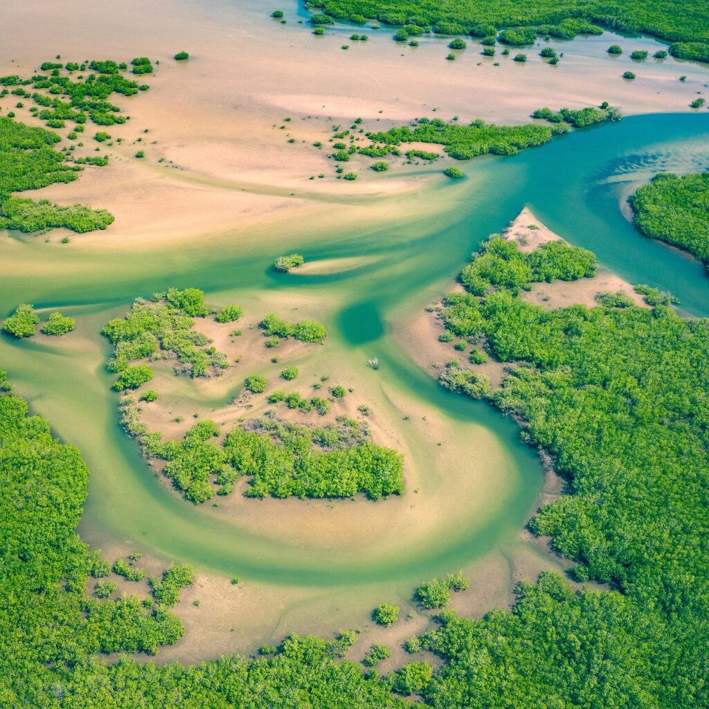 aerial, senegal, africa, above, drone, river, mangroves, senegal, senegal, senegal, senegal, senegal, mangroves