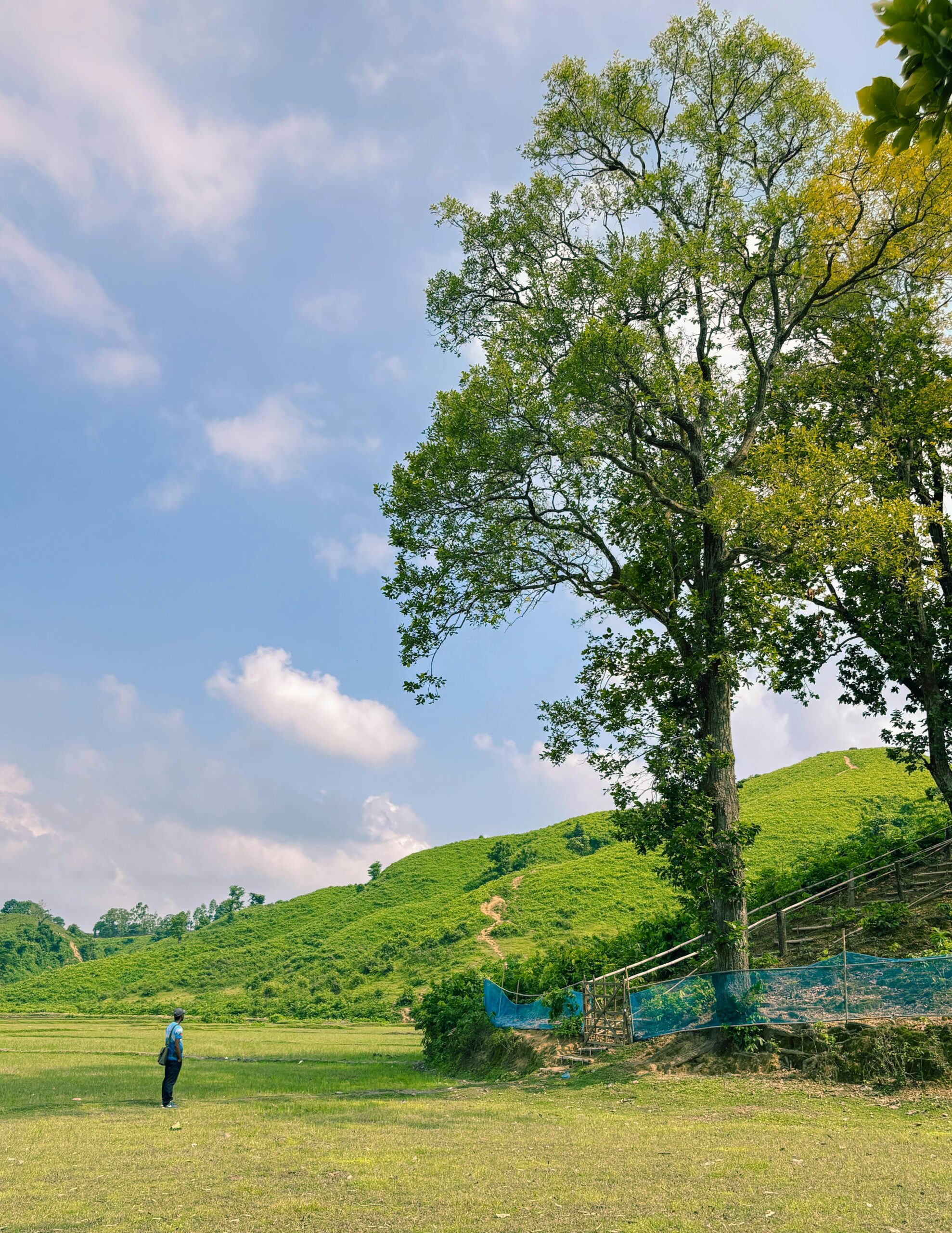 A tranquil scene of lush greenery and hills under a clear blue sky in Netrokona, Bangladesh.