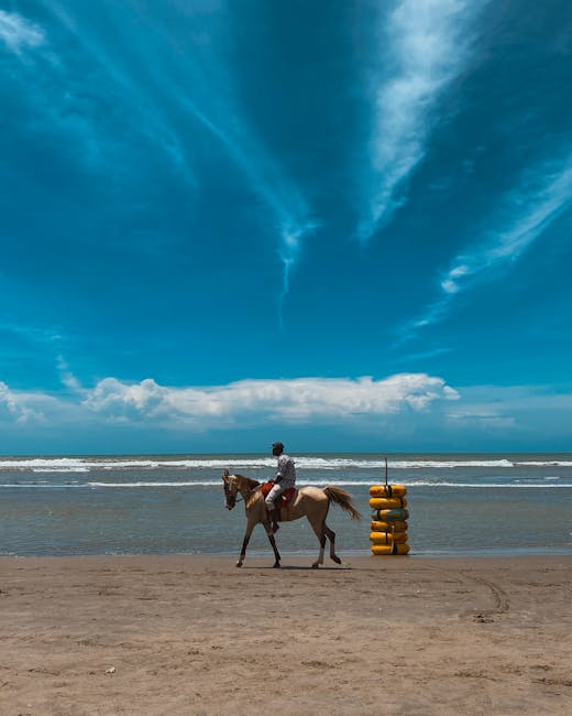 A rider on horseback against the stunning backdrop of Cox's Bazar beach, under a vivid blue sky.